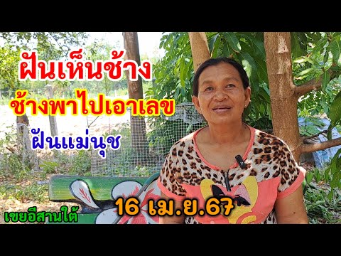 ฝันเห็นช้าง ช้างพาไปเอาเลข 16/4/67 ฝันแม่นุช