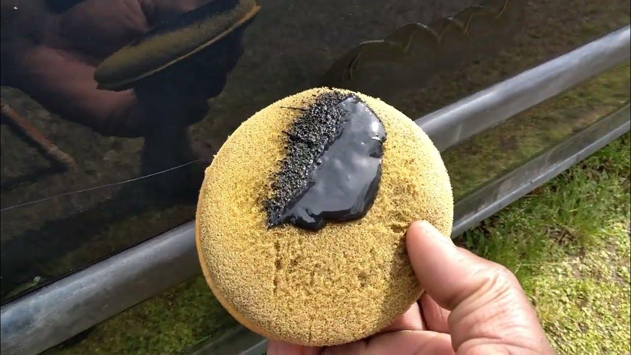 turtle 🐢wax black color magic 🎩 let's see how good this hide deep