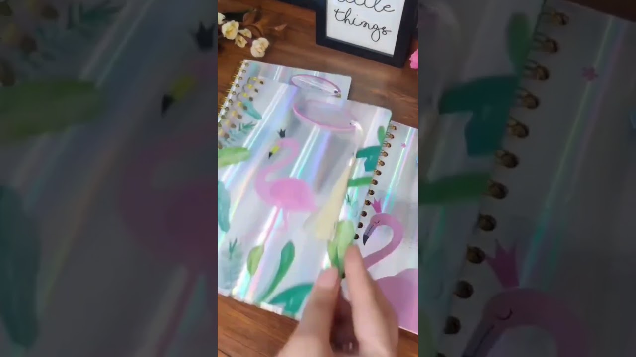 Spiral Diary With Holographic Hardcover 