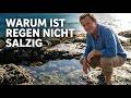 Kann Meerwasser verdunsten? - Warum Regen nicht salzig ist 🌊