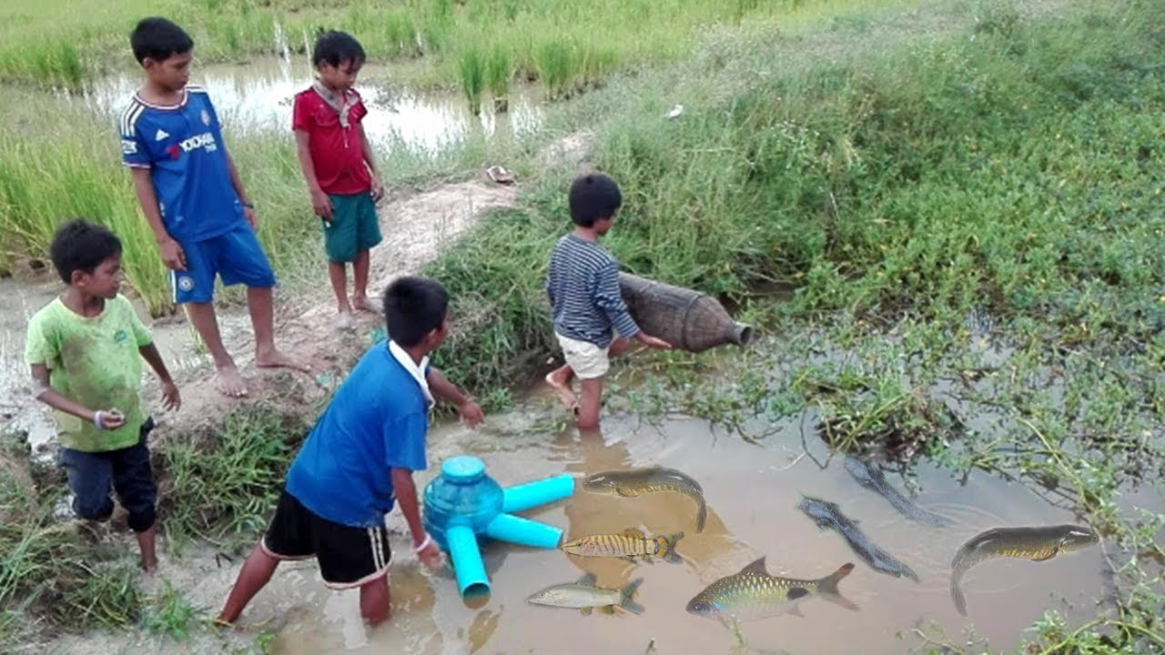 Extremely Creative Boy Make Fish Trap Using PVC Pipe With Plastic ...