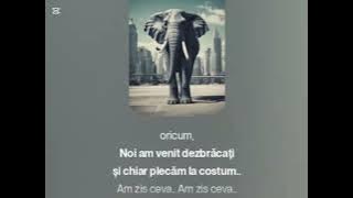 B.U.G. Mafia - Am zis ceva ( versiunea A.I. )