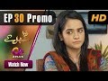 Watch Zara Sambhal Kay - Episode 30 | Aplus | Bilal Qureshi, Danial, Shehzeen, Michelle | Pakistani Drama Online In HD