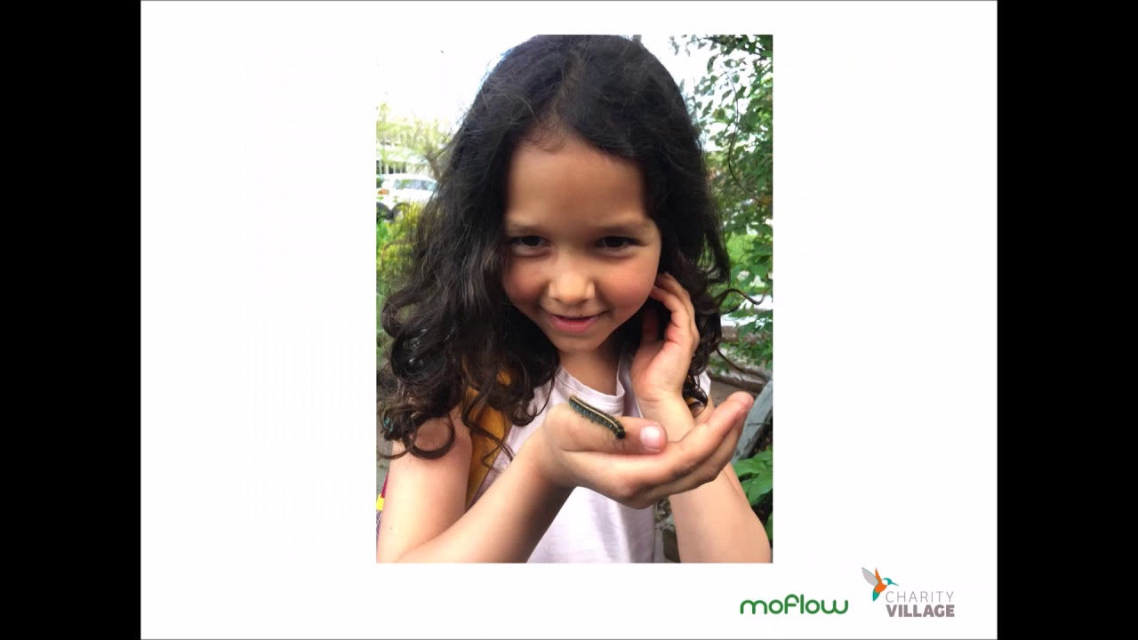 Creating a Content Strategy for your Nonprofit Website