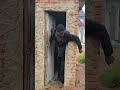 Msicha Mchawi Huyuu Eeh Comedy Clamvevo Funny Comedy Whowillbemylifepartnerta Msicha Mchawi Huyuu Eeh Comedy Clamvevo Funny Comedy Whowillbemylifepartnerta