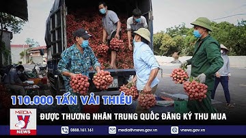 Thương nhân Trung Quốc đăng ký thu mua 110.000 tấn vải thiều - VNEWS