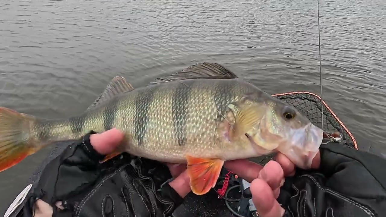 Superinė pirmoji 2023m ešerių žvejyba. 