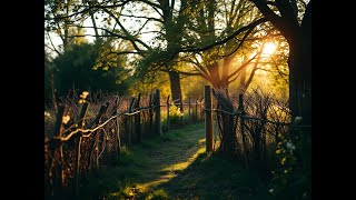 Malakangel Numbers & Spiritrawach Messages For The Sick & Tired.