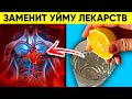 Аптечка Вылетит в Окно! 12 Веских Причин Пить Воду с Лимоном Каждый День! | Progrees Way