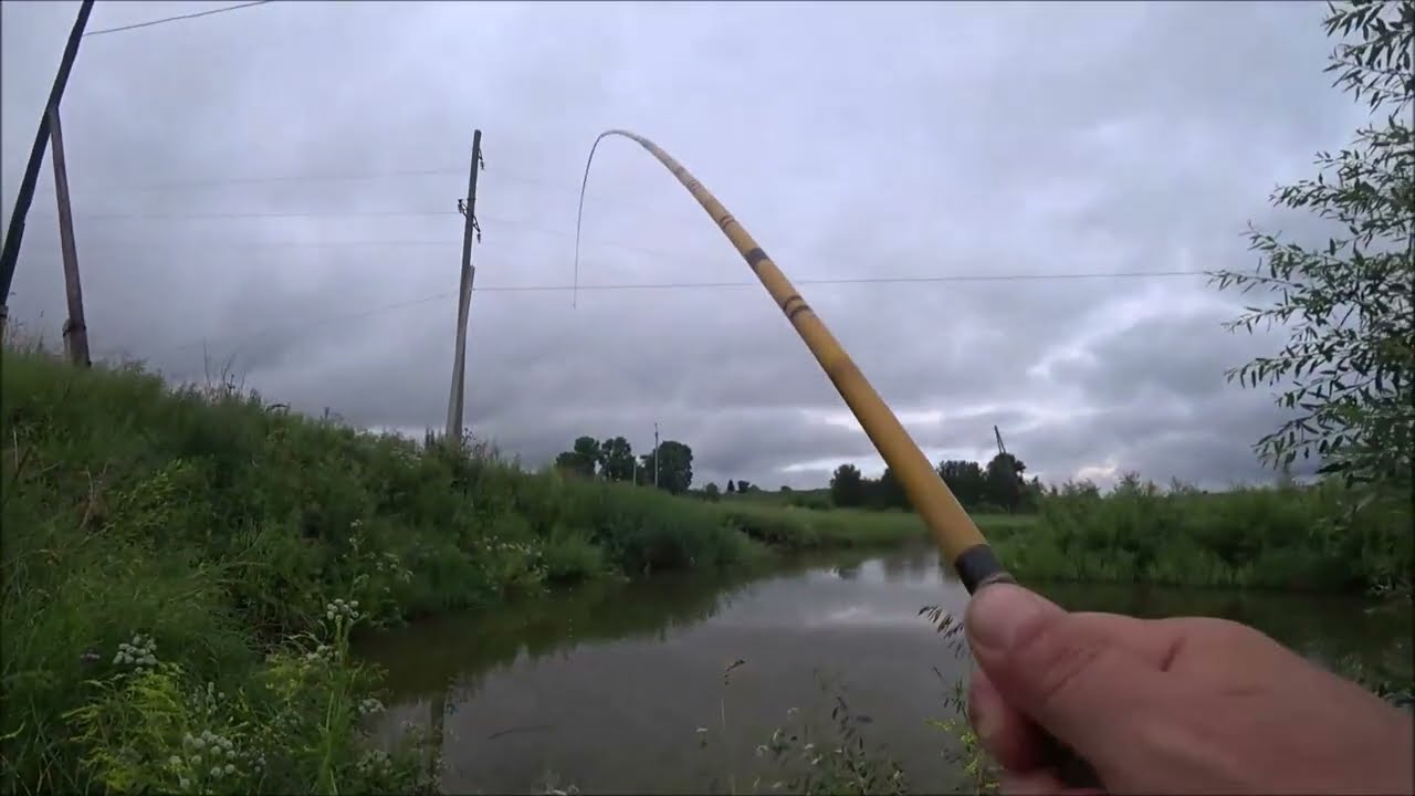 БОБЫШКИ.  КАРАСЬ НА ПШЕННЫЕ И КАРТОФЕЛЬНЫЕ ХЛОПЬЯ С МЕДУЗОЙ. САМОДЕЛЬНОЕ ТЕСТО НА КАРАСЯ.