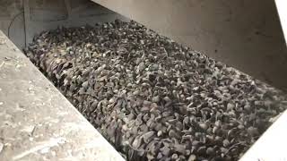Jackrabbit Harvester slo mo