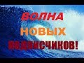 Волна новых подписчиков на канале!