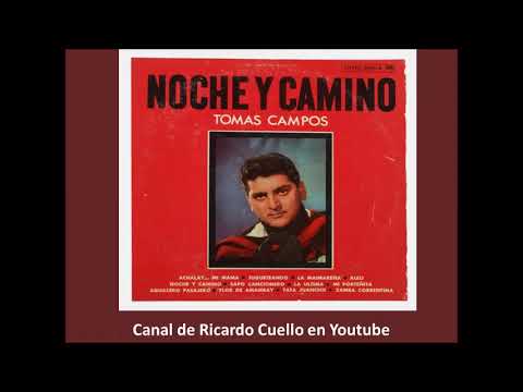 video phone beyonce mp3 Tomas Campos - Mi porteñita (audio 2)
