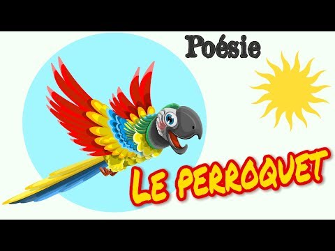Vidéo: Le Perroquet Parlant Kiryusha Lit De La Poésie: Vidéo