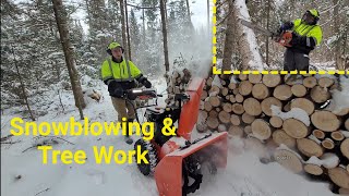 Cutting Up A Major Blow Down Of Trees And Snowblowing In The Cold
