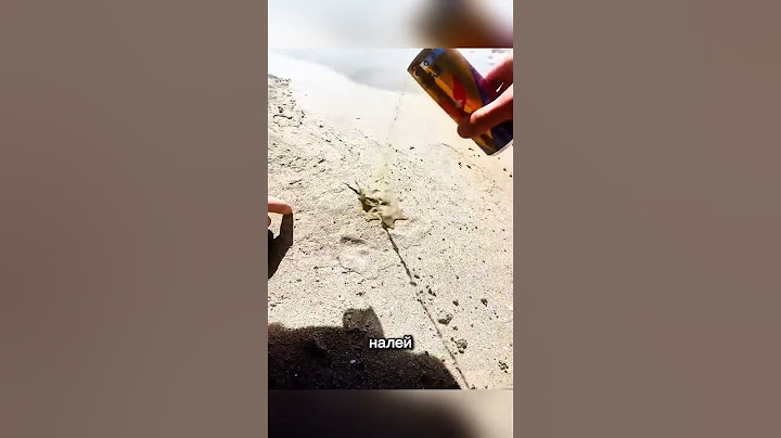 Тайна под песком 🤔