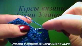 Раковина Моллюска Раковина Моллюска