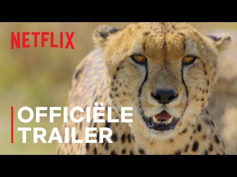 Animal | Officile trailer | Netflix