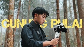 GUNUNG PULAI - Journey to the Summit & Waterfall