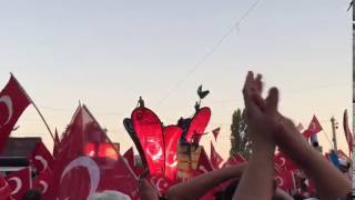 WhatsApp Video 20160722 6