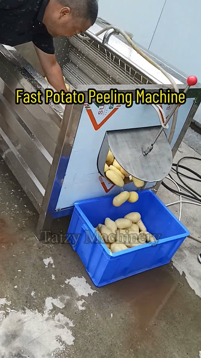 How does a commercial potato peeling machine work? - Taizy Machinery