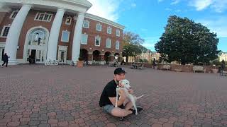 Miniature Dalmatian 'Haley' l Awesome Obedience l Dog Trainers of Hampton Roads