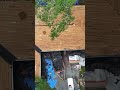 Roof Transformation in Action!