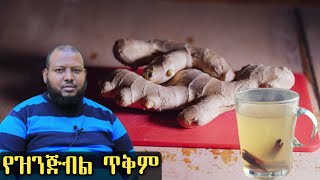 የዝንጅብል ጥቅም [ቅምሻ] ዶ/ር ዑስማን መሀመድ | Ginger| Dr Ousman Muhammed