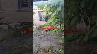 ЗАБРОШЕНАЯ ГРЯЗЕЛЕЧЕБНИЦА города Белая Церковь
