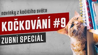 KOČKOVÁNÍ #9 - Stream: otázky a odpovědi by Kočkování 94 views 8 months ago 1 hour, 48 minutes