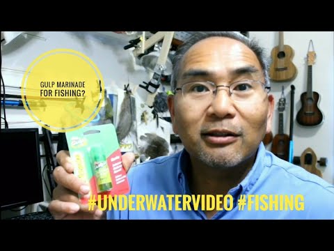 Vídeo: Você pode misturar iscas gulp?