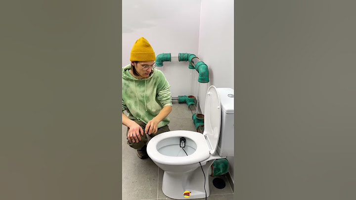 How to Transform Your Toilet into an Aquarium Using Only Pipes