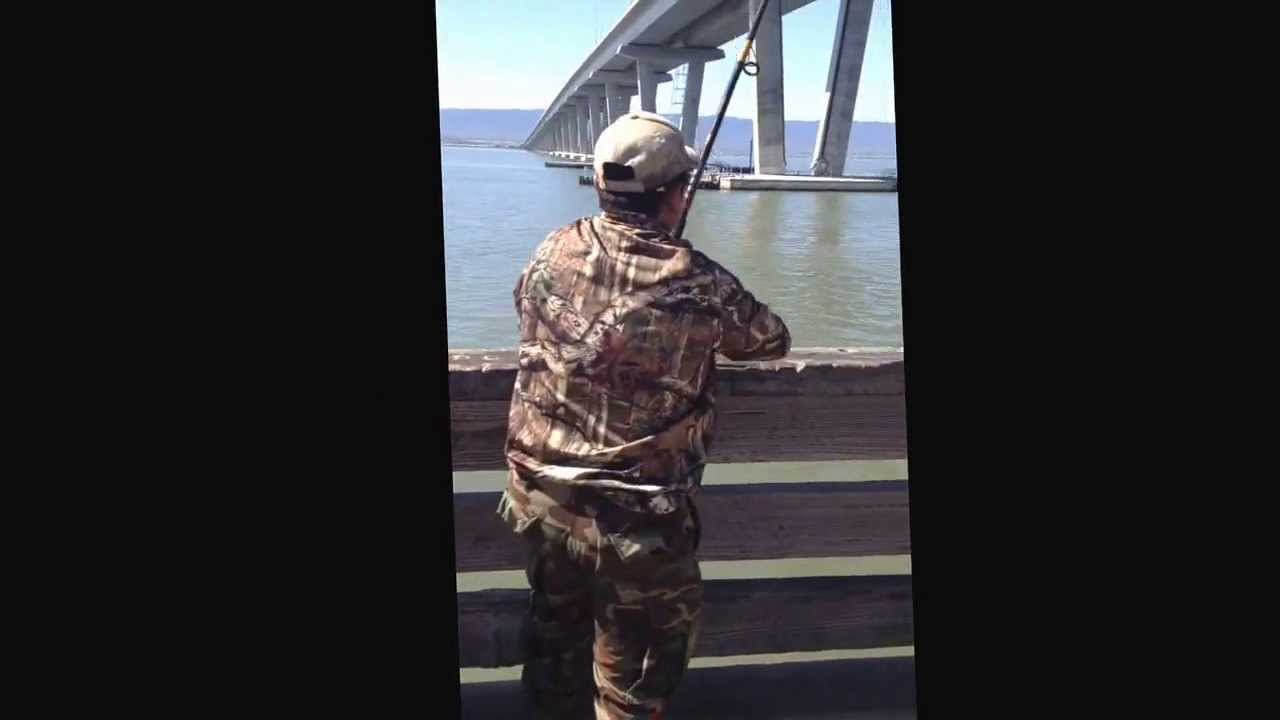 Dumbarton Fishing ! 100+ lbs Stingray & Leopard Shark 38 in caught at