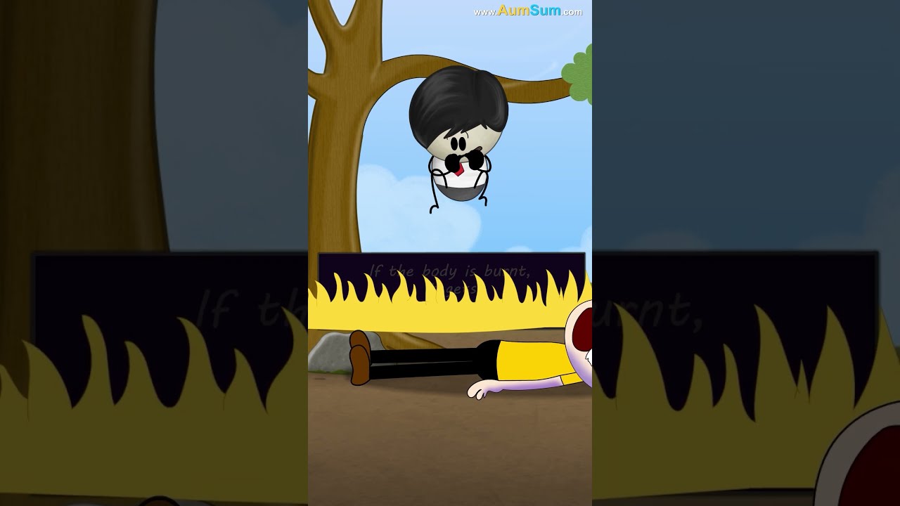 What Happens To Our Body After We Die Aumsum Kids Shorts Whatif