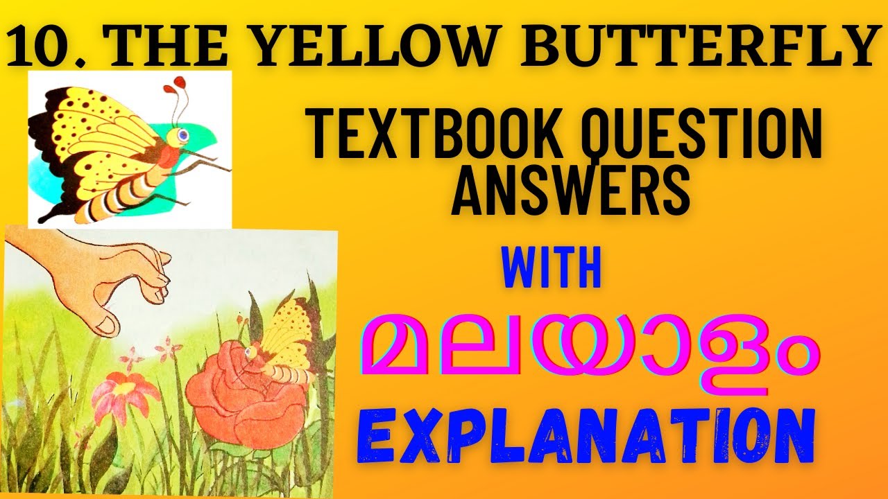 Class 3 English chapter 10 The yellow butterfly/Textbook question
