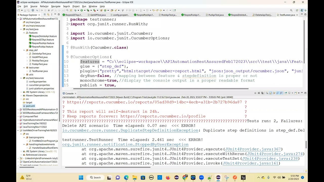 API AddedRunner File Ran All Test Report Explore Part4