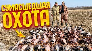 ЛУЧШАЯ ОХОТА СЕЗОНА!!! ОХОТА  НА ГУСЯ 2023. Охота на гуся в Беларуси 12.04.23