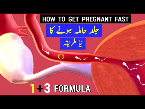 How To Get Pregnant Fast Without Calculating Ovulation Day |Jaldi Pregnant Hone Ke Liye Kya Karen