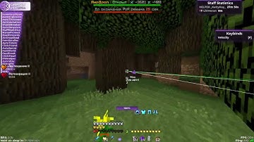 буст от целестиала на reallyworld