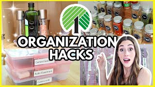 dollar tree organization ideas to get your home organized like a pro! 💚