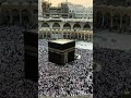 يا زوار النبي