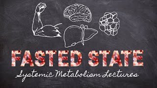 Fasting State Metabolism | Systemic Metabolism Part 6 | Macronutrients Lecture 35