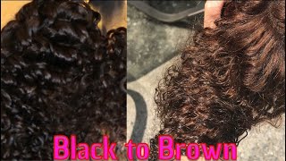 How to Lighten Bundles Brown or Blonde | NO BLEACH | Wig Series Part 1 Wealth