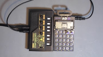 PO-20 Arcade Monotron Delay 