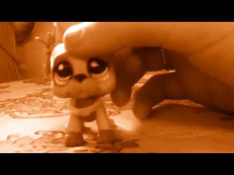 camera iphone 8 plus apk Leave me dares