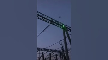 Smart Laser bird repellent Video