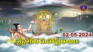 శ్రీనారద మహాపురాణం || Masavaisistyam Sri Narada Mahapuranam || 02-05-2024 || SVBC TTD|| SVBC TTD