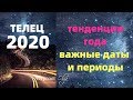 ТЕЛЕЦ в 2020 году.ЭТО ВАЖНО ЗНАТЬ! Астролог Olga