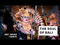 Bali traditional dance ceremony  recording earth