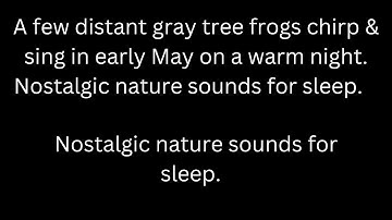 Distant gray tree frogs call & sing in May, frog sounds tinnitus relief black screen sleep & relax